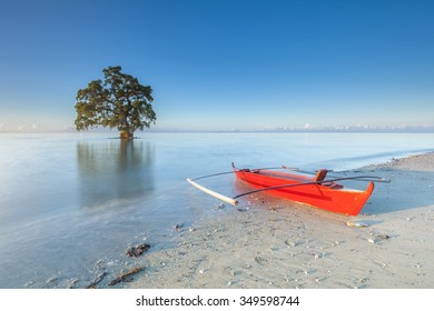 A Single Tree With Red Boad At Lahad Datu Sabah Malaysia