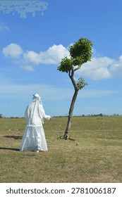 a single tree standing alone in the middle of Takalar Hill, Indonesia