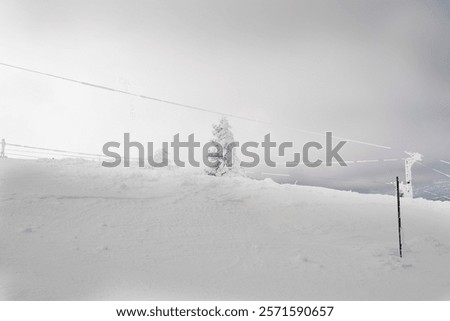 Similar – Image, Stock Photo Mountain top covered with fog in the Alps