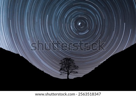 A single tree at Sycamore Gap which was shamelessly felled last night, Hadrian's Wall, Northumberland National Park, UK