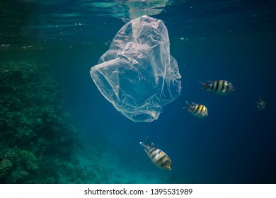 Single use plastic bag floating in the blue water next to the coral reef among fish, ocean pollution - Powered by Shutterstock