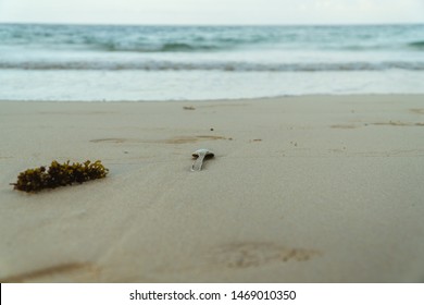 Single use plsatic garbage litter on beach. Rubbish and waste found on beautiful sand beach while on holiday in Galapagos Islands. Environmental, pollution, waste, climate change, problem concepts.
