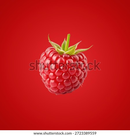 Single vibrant raspberry on red background