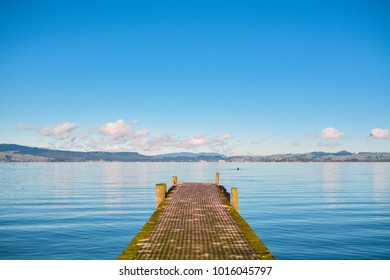 A single view