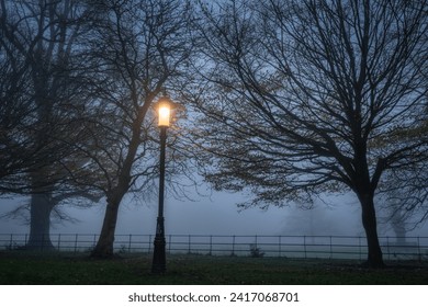 Single vintage street lamp illuminating trees in the thick fog in Farmleigh Phoenix Park, moody atmospheric evening, Dublin, Ireland