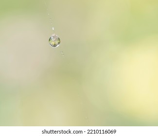 A Single Water Droplet Attached To A Spider’s Web. 