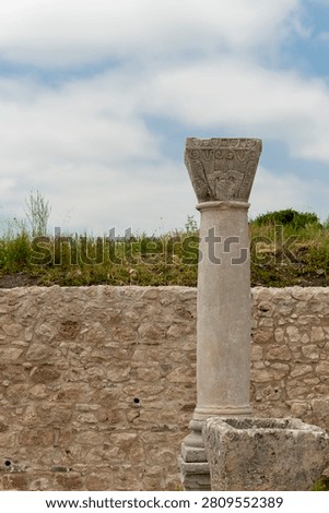 A single weathered column with a simple cushion capital stands before a drystone wall in the Palace of Gordian at Volubilis, with a green grassy background and clear sky overhead.