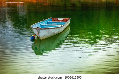Single white and blue painted wooden rowboat or dingy floating at a buoy on vivid green water with the reflection of orange water grasses - Shutterstock ID 1903612393