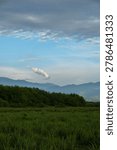 Single white cloud floating over a blue mountain range and a green marsh meadow