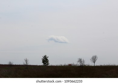 A single white cloud in the sky over the landscape of the park.