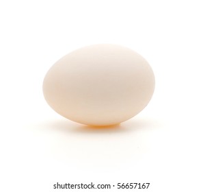 A Single White Duck Egg Isolated On A White Background