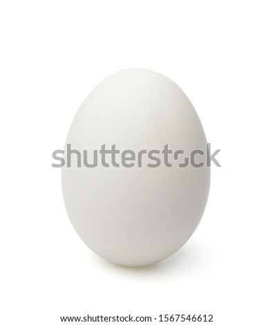 Single white egg isolated on white background.