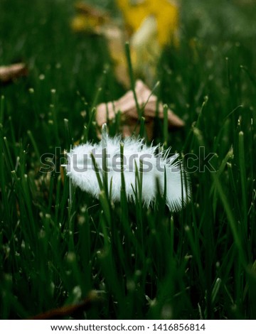 Similar – Image, Stock Photo chill Relaxation Calm