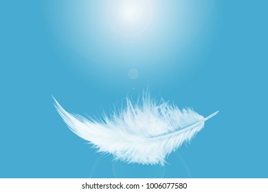 Single White Feather Floating Sky Stock Photo 1006077580 | Shutterstock