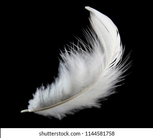 Falling Feathers Images, Stock Photos & Vectors | Shutterstock