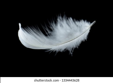 Soft White Feathers Floating Air On Stock Photo (Edit Now) 758048029