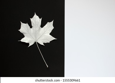 Single white maple leaf on black and white backgound with copy blank empty space.
