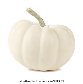 Single White Mini Pumpkin Isolated On A White Background