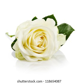 Single White Rose With Leaves And Stem On White Background