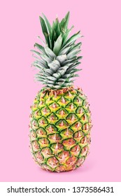 Tropical Pineapple Shape Stock Vector (Royalty Free) 1213840702