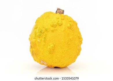 Single Yellow Bumpy Gourd On White Background