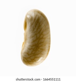 A Single Yellow Flageolet Bean, With A Veining Pattern.