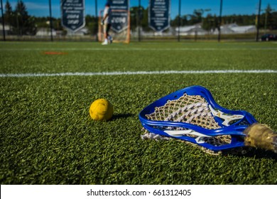 Single Yellow Lacrosse Ball On The Grass Front Of A Training Net