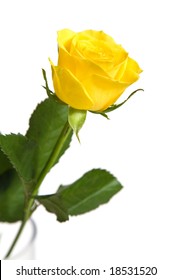 Single Yellow Rose Vase Isolated On Stock Photo (Edit Now) 18531520