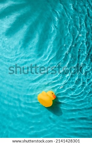 Similar – Image, Stock Photo Shadow play | palm tree and curtain on window