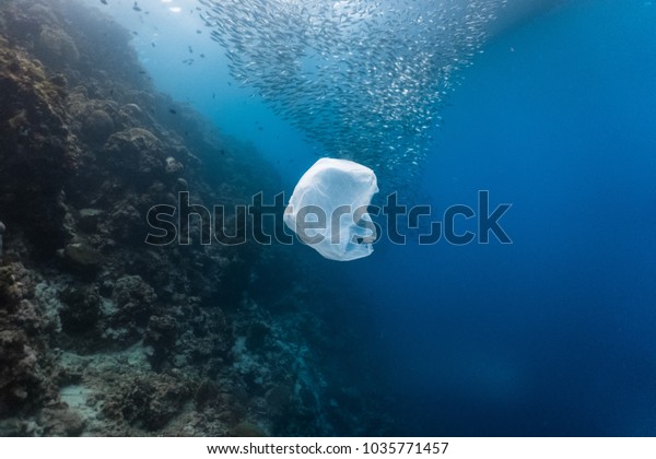Single-use plastic\
and school of fish in a shallow reef. Plastic is a major\
contributor of pollution in the\
ocean.