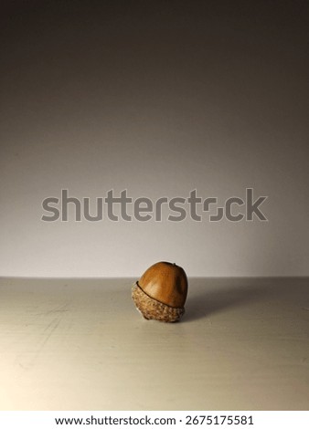 A Singular Acorn With Dramatic Lightning