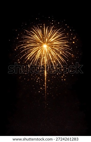 Singular firework burst in empty night sky