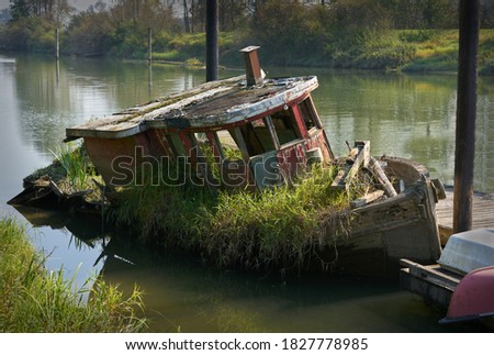   Sinking Decaying Ship. Tall grass takes over an abandoned boat on the river bank.

                             