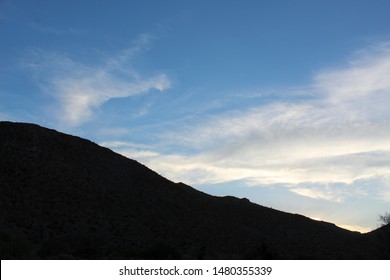 A Sinking Star Over The Cottonwood Mountains In The Colorado Desert Region Of Joshua Tree National Park Imparts A Magical Atmosphere, And Admiration For Native Plants Growing In Their Substrate.