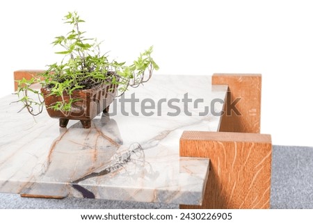 Sintered Stone Quartz Top Coffee Table with solid woods legs. Isolated with clipping path.