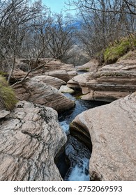 Sinuous rocks on a mountain river with green trees in the background.