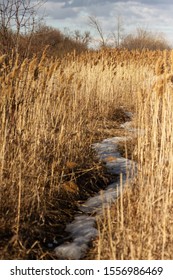 sinuous snowy path on grass land 