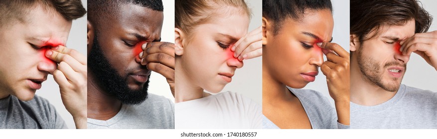 Sinusitis. Collage Of Diverse Sick People Touching Their Nose Bridge With Red Sore Zone, Suffering From Sinus Pain, Panorama