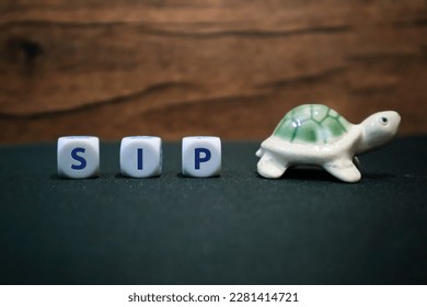 SIP Slowly and consistently, as represented by the Words SIP which is written on dice and a small tortoise. Investing Strategy for long term.