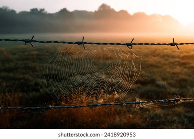 A sipider web cobweb in between two barbed wire countryside fences on a farm, overlooking a dewy sunrise or sunset field with warm tones and beautiful agricultural fields, lined with trees and mist - Powered by Shutterstock