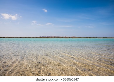 Sir Bani Yas island in the UAE - Shutterstock ID 586060547