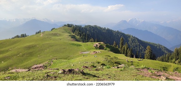 Siri Pae Or Locally Known As Siri Paye Meadows Are Located In Mansehra District Of KPK, Pakistan.