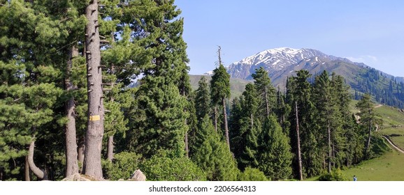 Siri Pae Or Locally Known As Siri Paye Meadows Are Located In Mansehra District Of KPK, Pakistan.