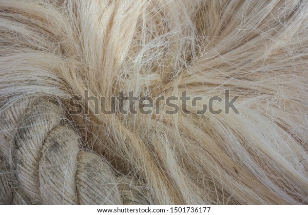 Sisal fiber texture.\
Background from sisal. Sisal fiber products.Sisal rope abstract\
background texture.
