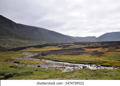 Sisimiut / Greenland - July 24 2019: Burnt Ground After Arctic Fires On The Arctic Circle Trail Near Sisimiut. Black Arctic Tundra After The Wildfire Has Spread And Reignited Several Times.