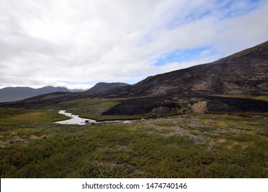 Sisimiut / Greenland - July 24 2019: Burnt Ground After Arctic Fires On The Arctic Circle Trail Near Sisimiut. Black Arctic Tundra After The Wildfire Has Spread And Reignited Several Times.