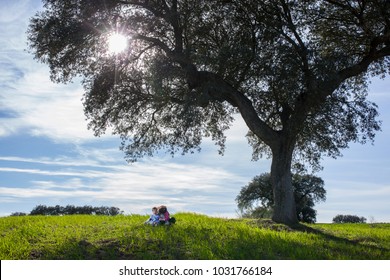 Sister Kissing Her Little Brother Under Acorn Tree. Enjoying Nature In Family Concept