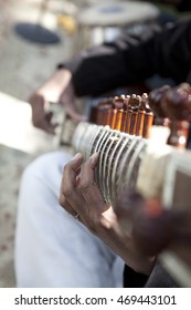 Sitar Player Hands