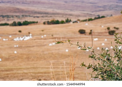 The Site Of The Battle Of Isandlwana Between The British Army And Zulus That Took Place On 22nd January 1879.