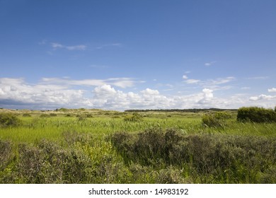 Site Of Special Scientific Interest (SSSI) At Ainsdale Sandhills, Sefton Coast